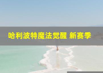 哈利波特魔法觉醒 新赛季